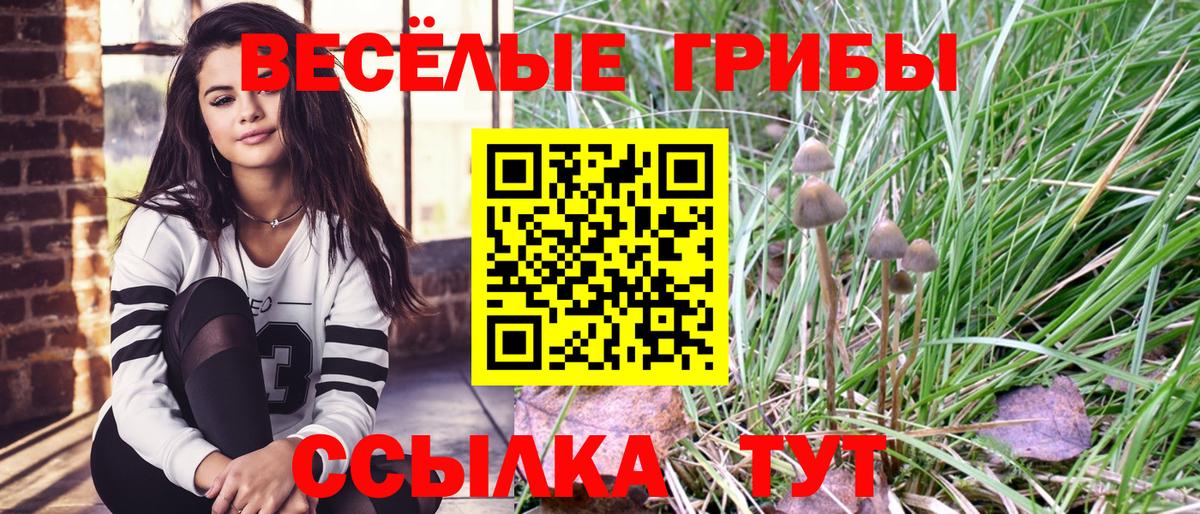 Лангепас  Галлюциногенные грибы Cubensis  Вход с VPN 