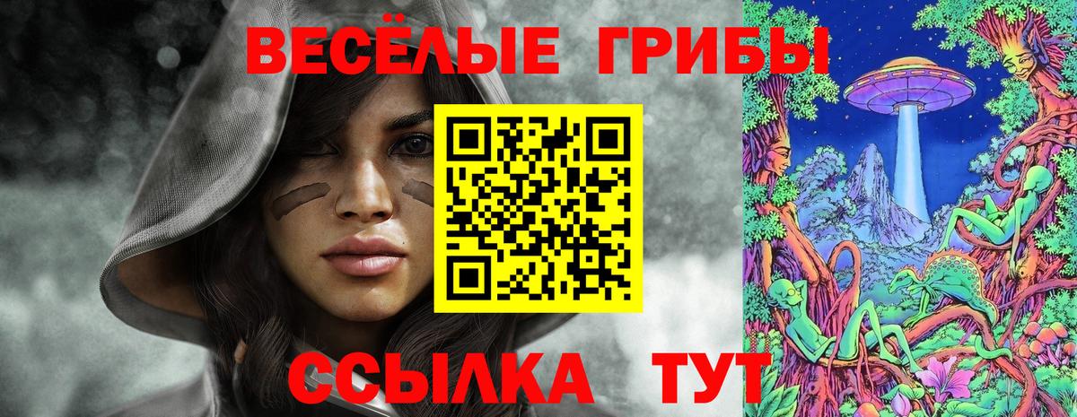 Галлюциногенные грибы Psilocybine cubensis Лангепас